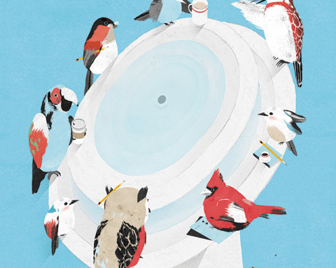 Birds illustration by Gracia Lam