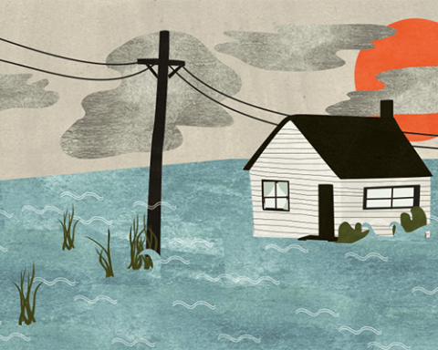 Flood Illustration by Julie Flett