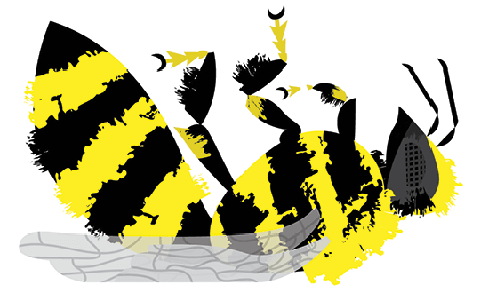 Bee Illustration by Matthew Hollister