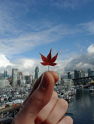 2011 Sustainable Cities