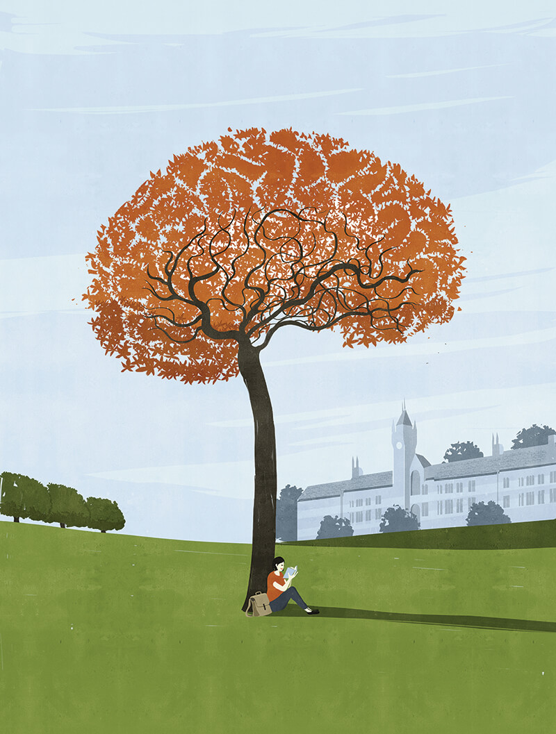 2013 Sustainable MBA