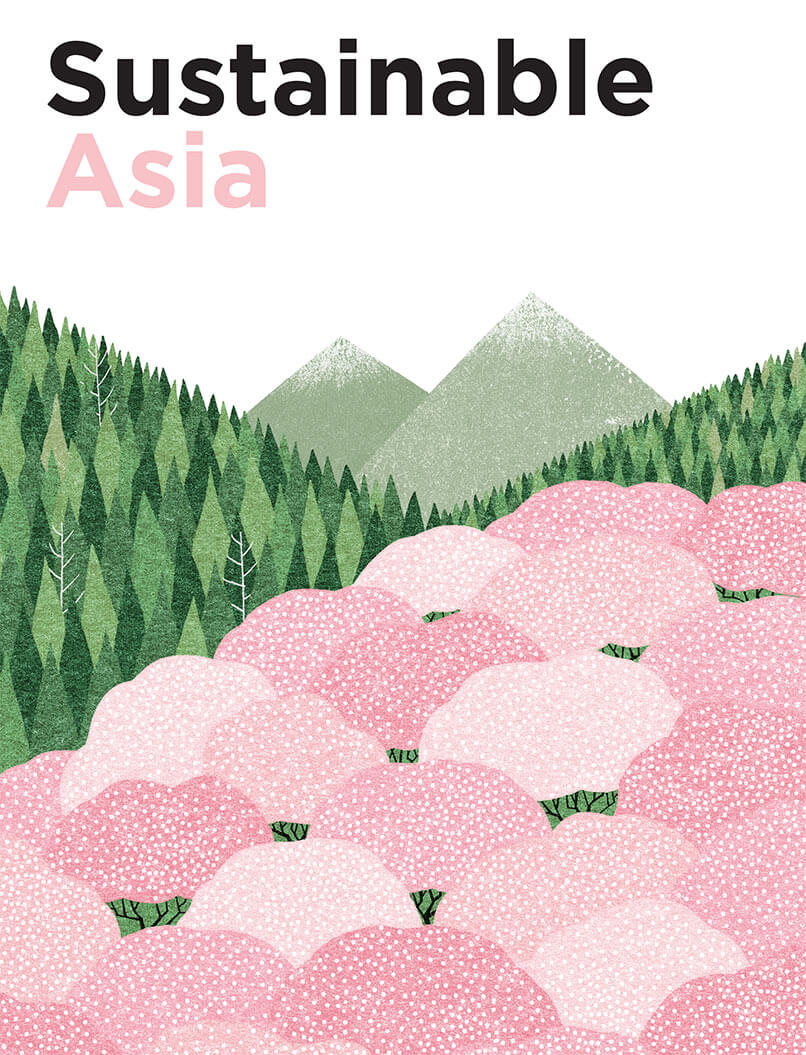 2014 Sustainable Asia Scorecard