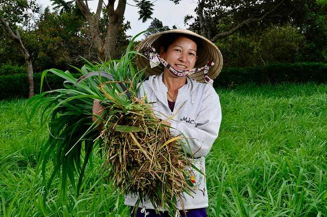 Climate-smart agriculture from the ground up | Corporate Knights