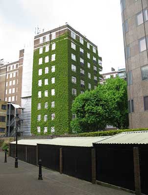 2014 Greenest Buildings