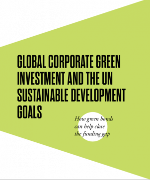Corporate Green Investment