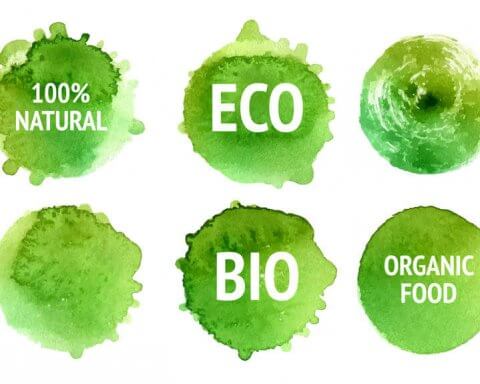 How to tell credible eco-labels from “greenwash” | An illustration of green eco-labels