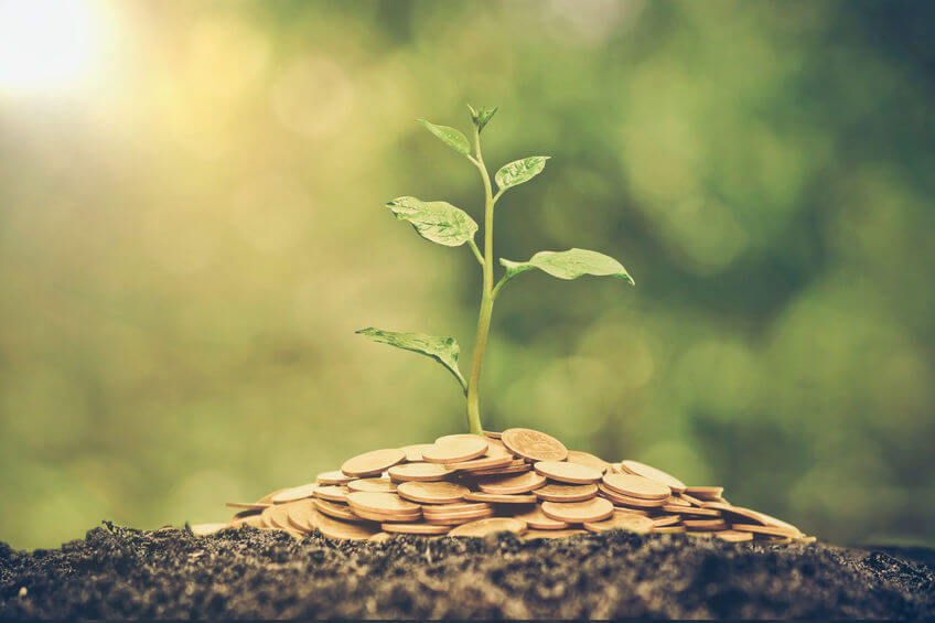 natural capital accounting