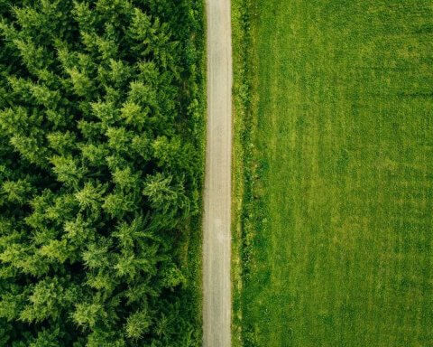 carbon management in Canada