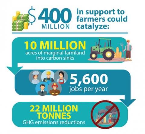 Building Back Better with nature-based climate solutions | Corporate ...