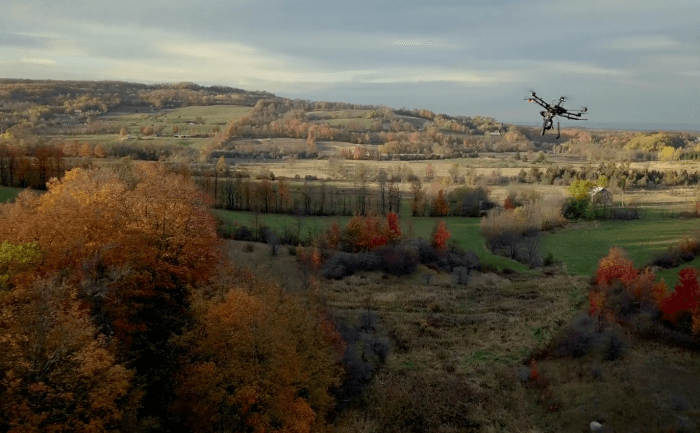 drone tree planting
