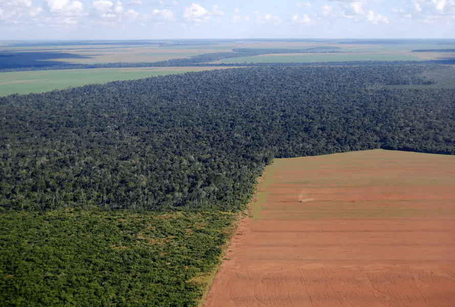 large-soy-field-cuts-into-the-forest-in-Brazil.