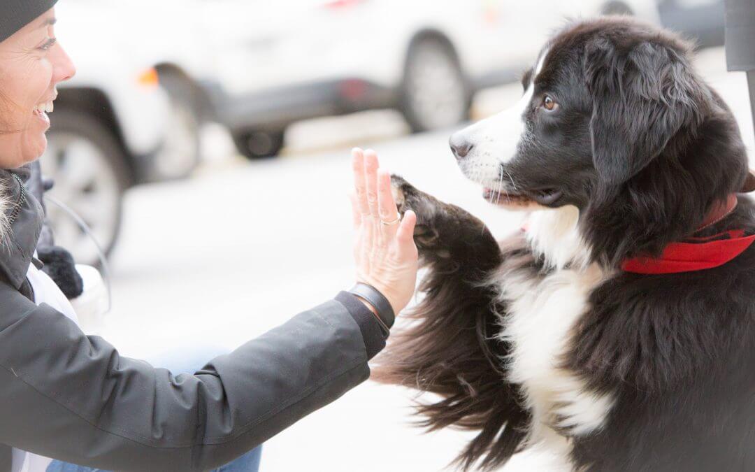 Canada needs more private-nonprofit partnerships