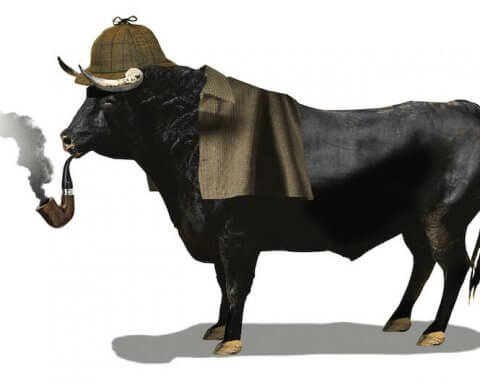 Do new "green" funds support the carbon transition?