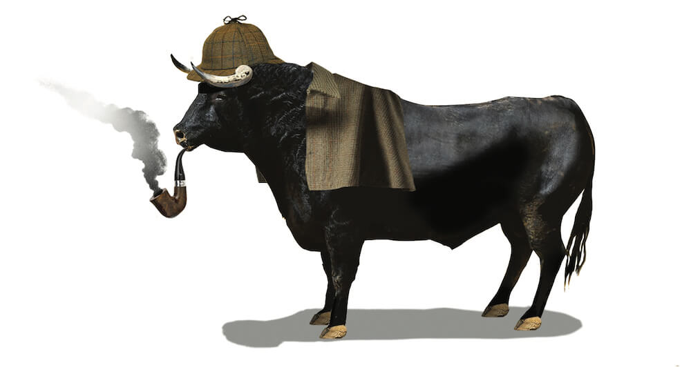 Do new "green" funds support the carbon transition?