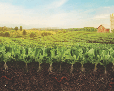 regenerative agriculture saving the earth