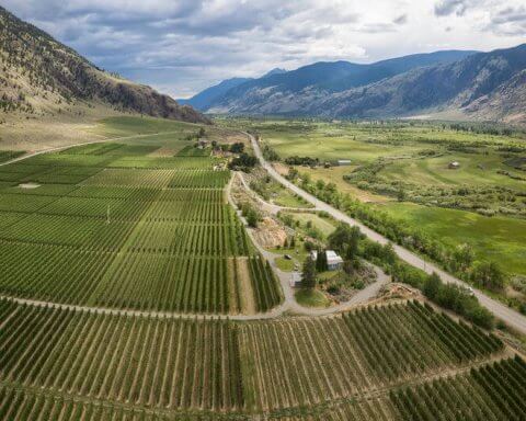 Chemical fertilizer alternative unearthed by startup