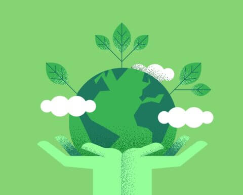 sustainable companies