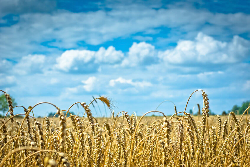 regenerative farming canada