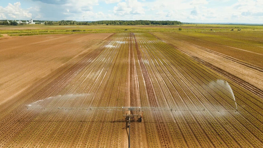 scalable agriculture