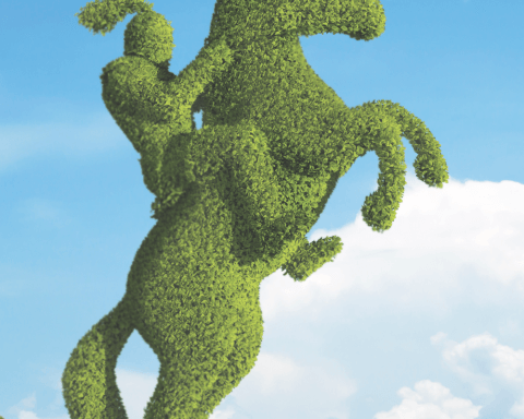 Best 50 Corporate Citizens - Topiary Horse