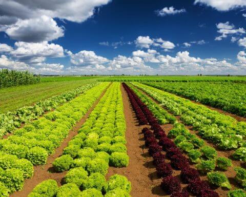 Canadian farmers regenerative agriculture