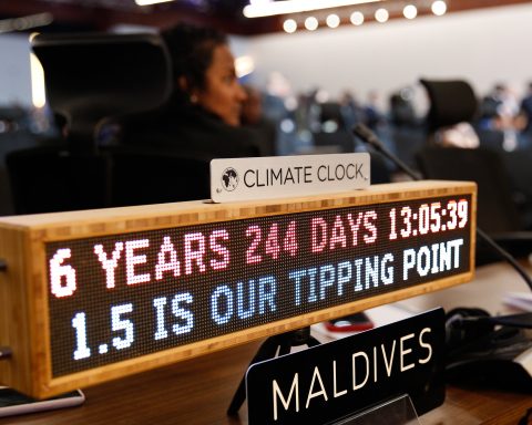 fossil fuel phase-out COP27 Corporate Knights