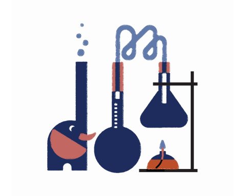 STEM African graduates brain drain