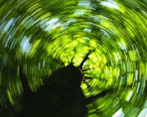 climate art eco-artists Corporate Knights