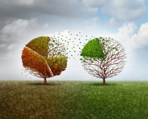 Sustainable Economy Intelligence SEI dashboard Corporate Knights