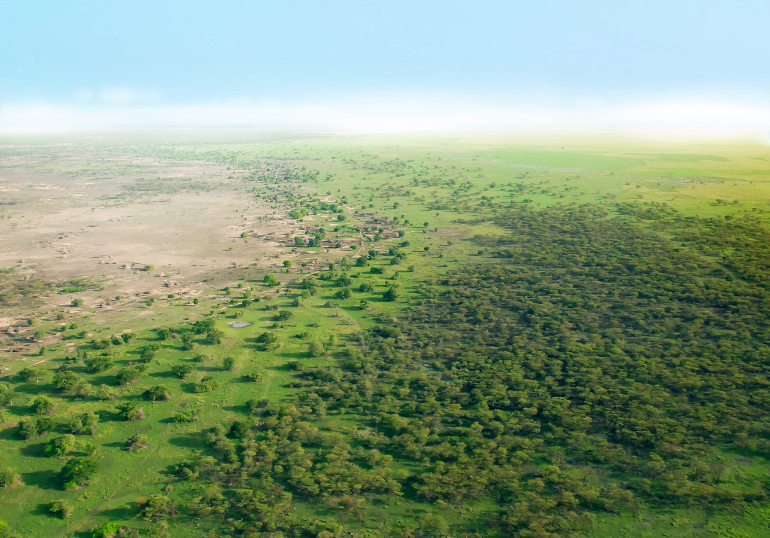 Africa's Great Green Wall Initiative Corporate Knights
