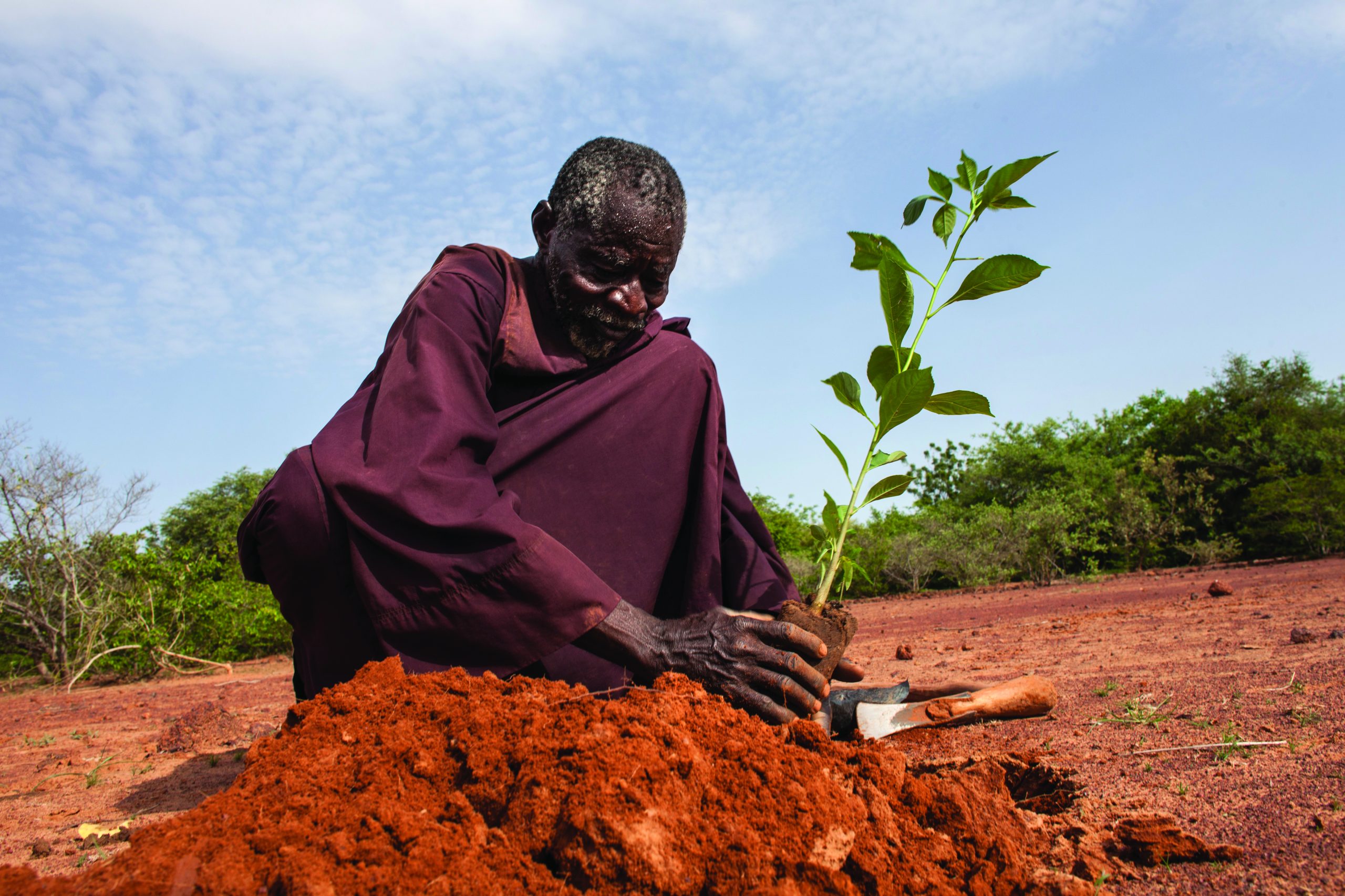 African tree-planting Burkina Faso Corporate Knights