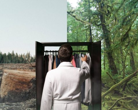 forests, deforestation, fashion, clothing Corporate Knights