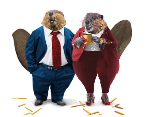 2023 Best 50 corporate citizens image