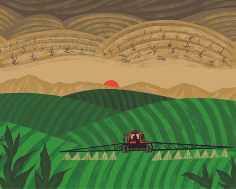 nitrogen, fertilizer, farming