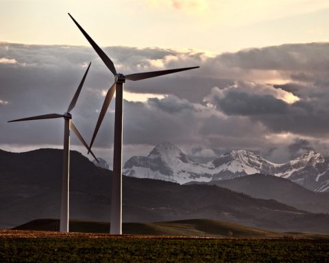 Alberta wind and solar moratorium