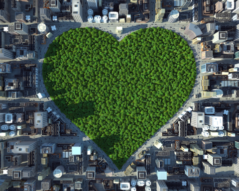 wellbeing economy_heart shaped park
