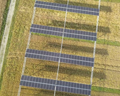 solar energy, agrivoltaics, renewables