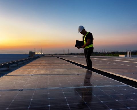 green transition, taxonomy