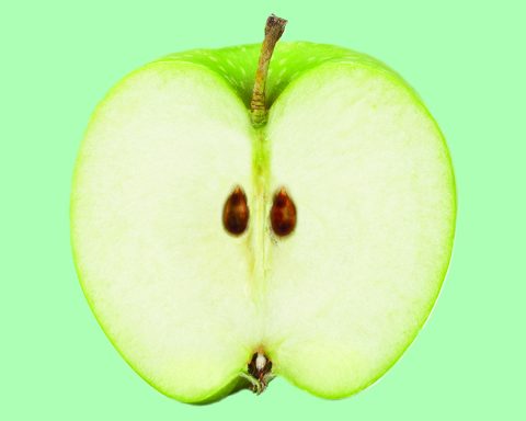 2023 Better world mba green core curriculum