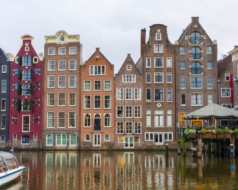 plant based treaty, plant based food, sustainable food