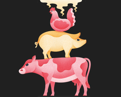 meat farming Corporate Knights