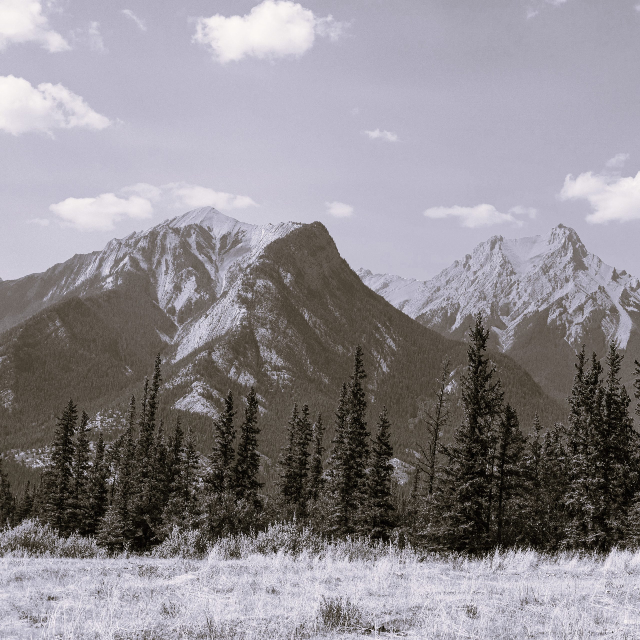 economic reconciliation indigenous oil and gas Corporate Knights