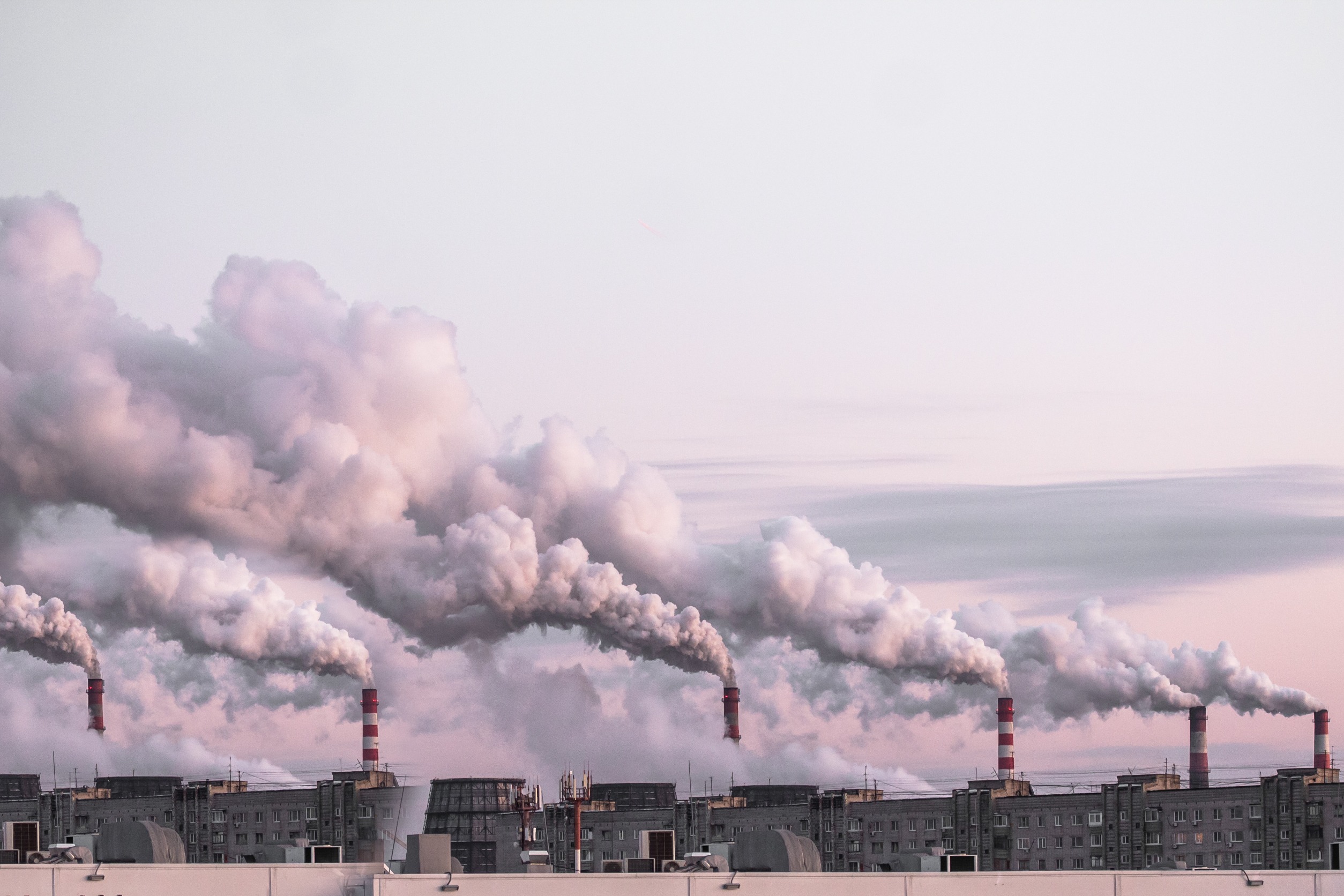 carbon offsets carbon credits SBTi Corporate Knights