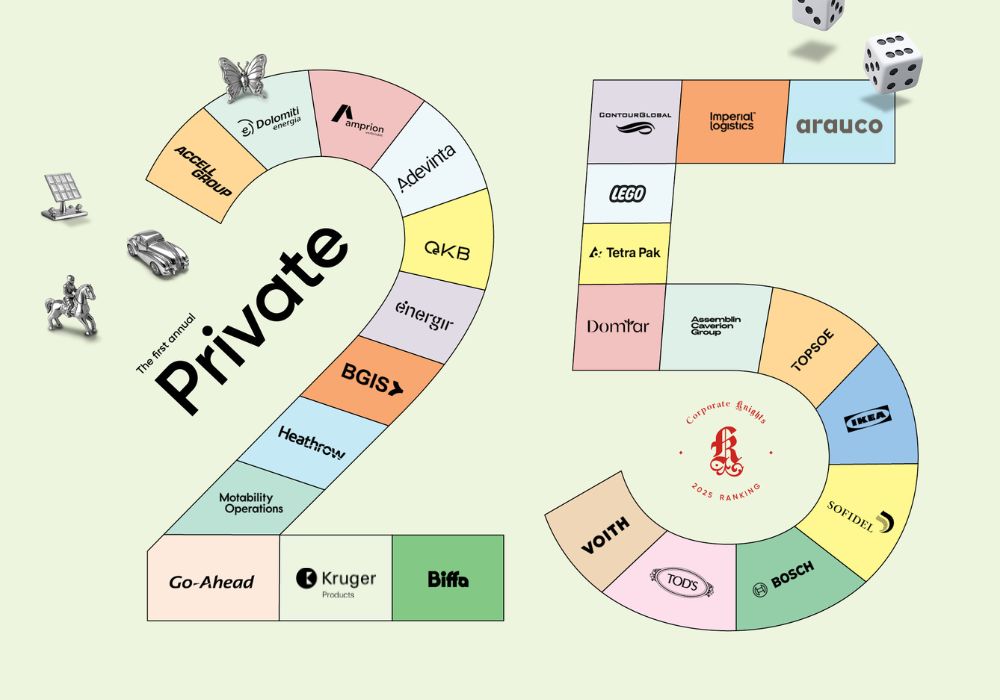 25 most sustainable companies