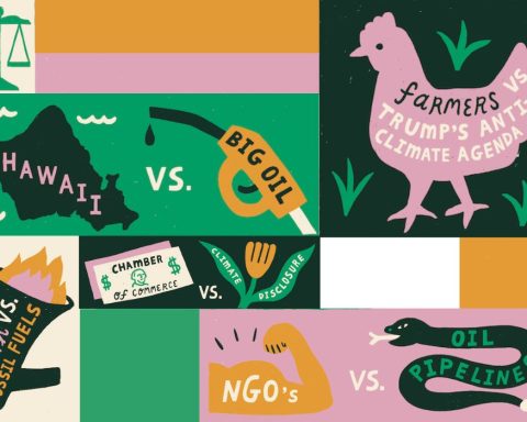 Five climate cases to watch