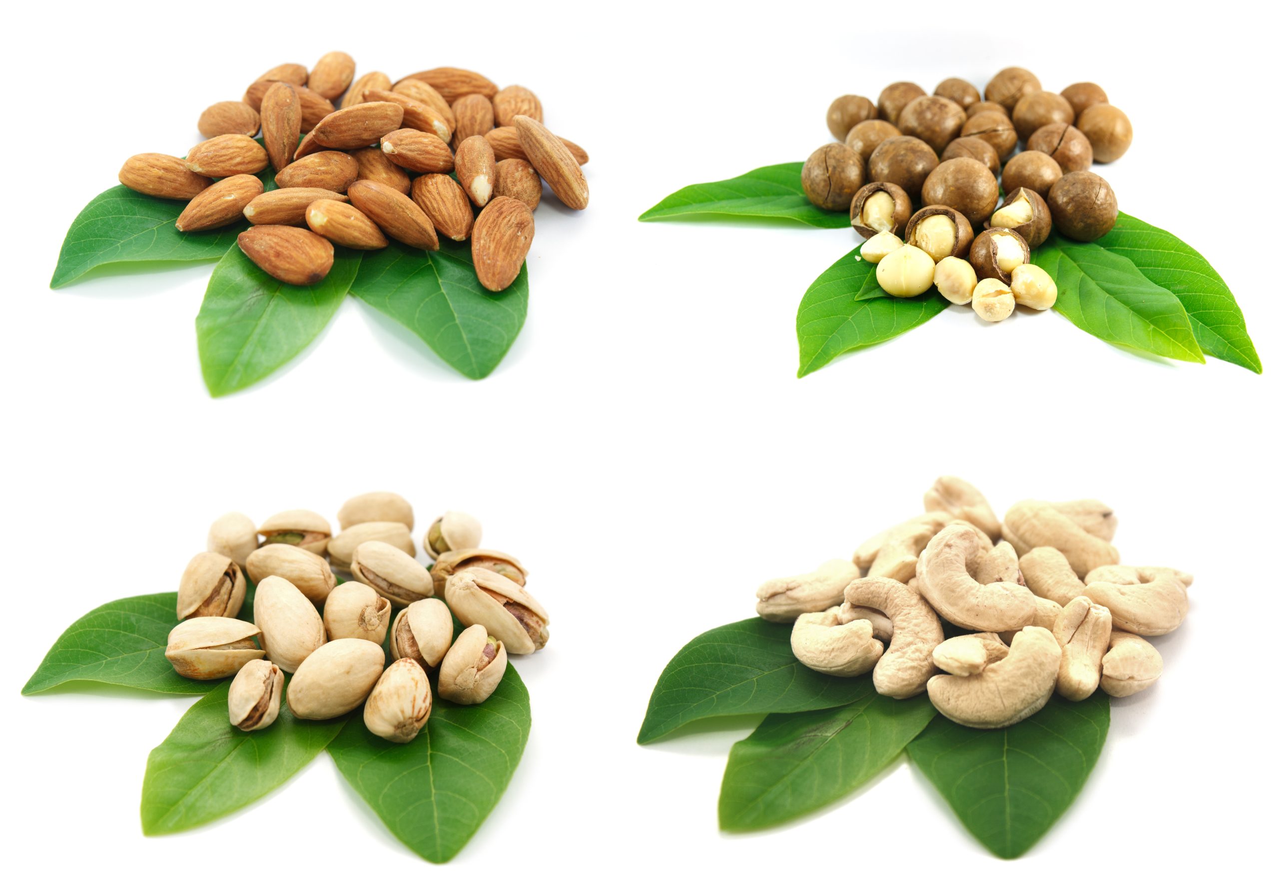 Mixed nuts on a white background