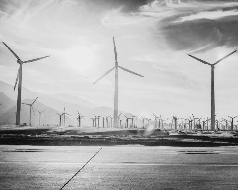 Palm Springs Windmills