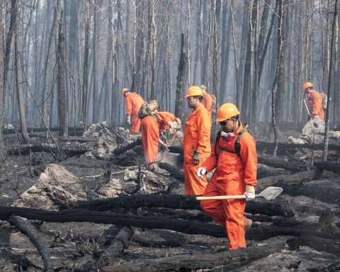 The 2025 Canada wildfire season was the second worst on record
