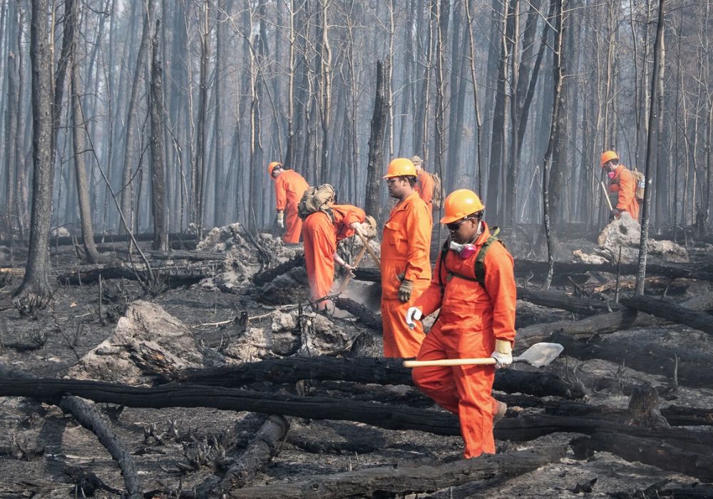 The 2025 Canada wildfire season was the second worst on record