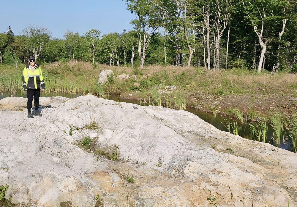 Brazil Like Lithium Project